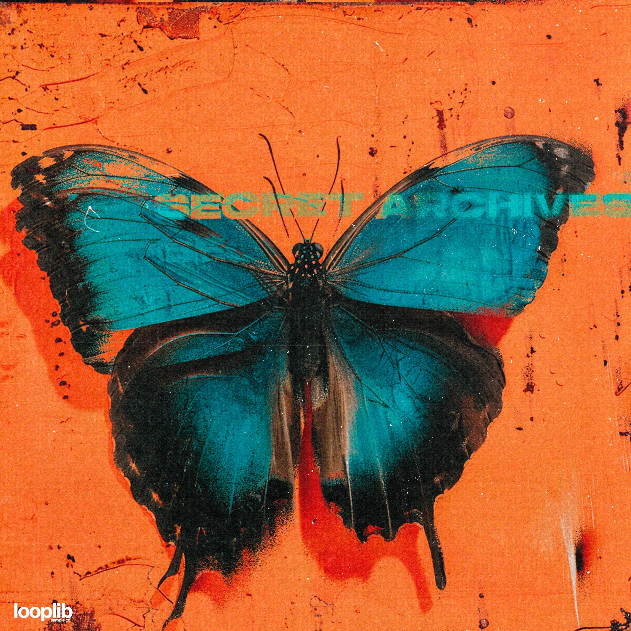 Loop kit cover for "Secret Archives" featuring a vibrant teal butterfly against an orange background, creating a striking contrast for this sample pack.