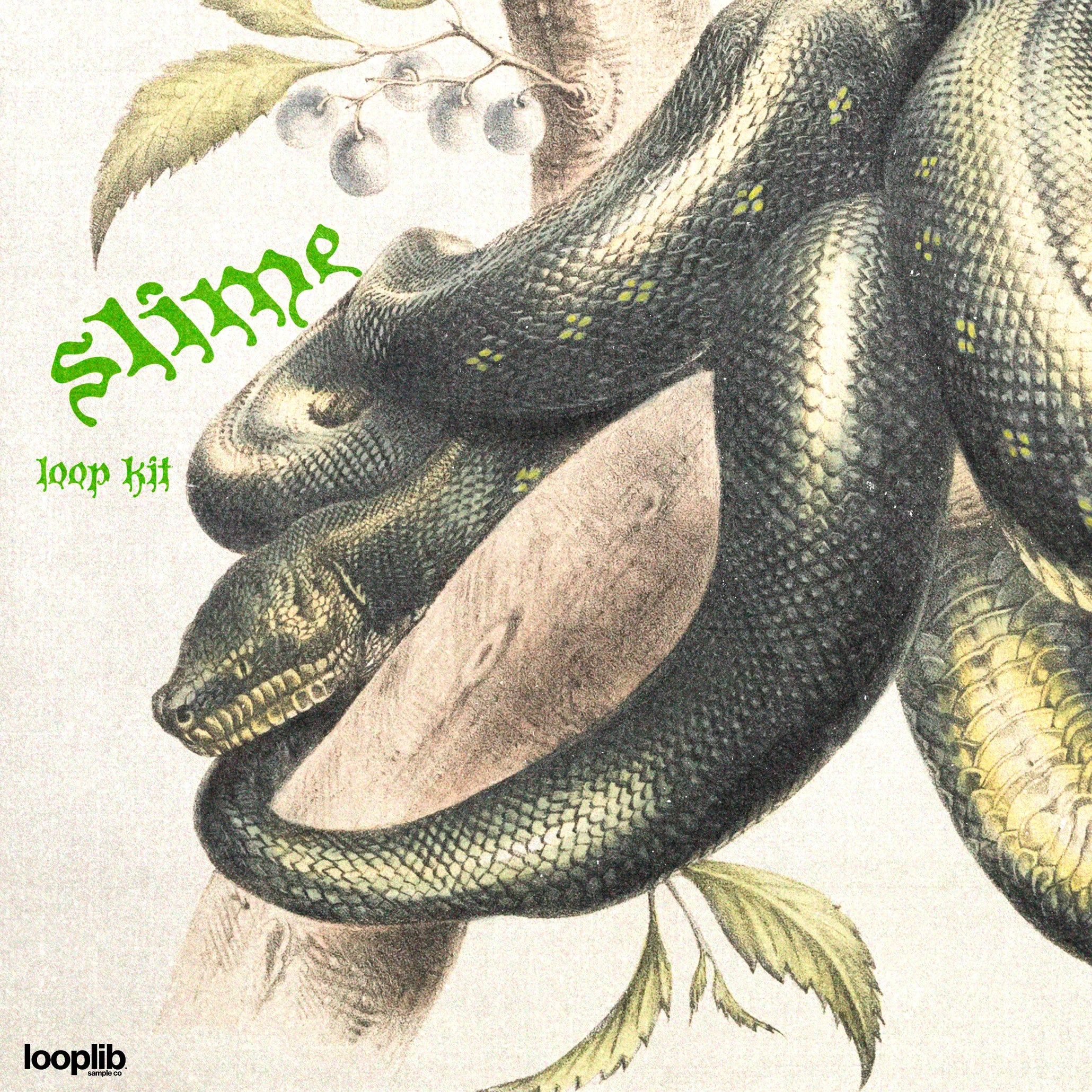 Loop kit cover for "slime" featuring a vintage illustration of a snake coiled around a tree branch, with green text overlay, blending natural and electronic themes.